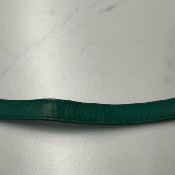 Louis Vuitton Retired Saint Cloud Green Epi PM Crossbody Bag + LV Dust Bag + COA - Picture 13 of 16